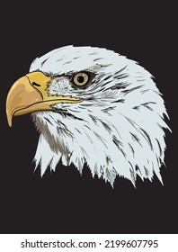 FIRST EAGLE MASTER SKY DANCER