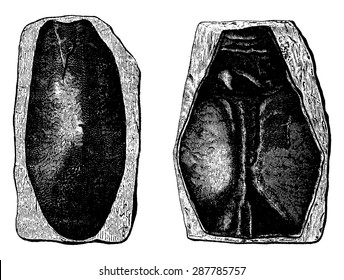 The first fish, Devonian period, Cephalaspis lloydii and Pteraspis rostratus, vintage engraved illustration. Earth before man 1886.