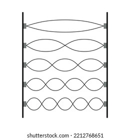 The first five harmonics of vibrations of a stretched string fixed at both ends. Scientific vector illustration isolated on white background.