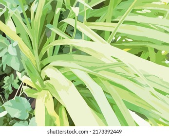 First greens in daylight for backgrounds and textures. Bright tropical motifs for interior solutions, prints, ecological concepts, card, posters, wallpaper, fashion, textiles, etc. Vector illustration