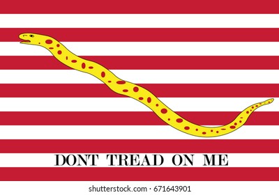 First Navy Jack Flag Use Usa Stock Vector (Royalty Free) 671643901 ...