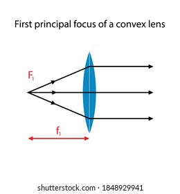 first principal focus of a convex lens