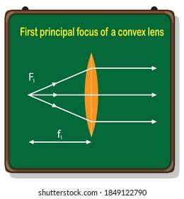 first principal focus of a convex lens