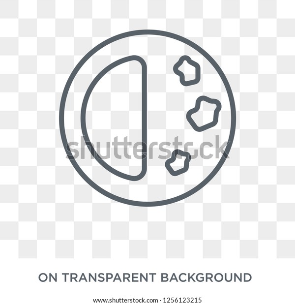 First quarter icon. First quarter design\
concept from Weather collection. Simple element vector illustration\
on transparent\
background.