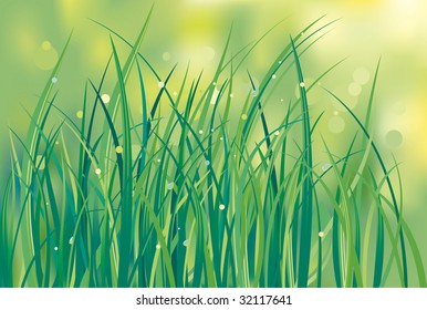 First shoots of a grass on a lawn. Flowers background.