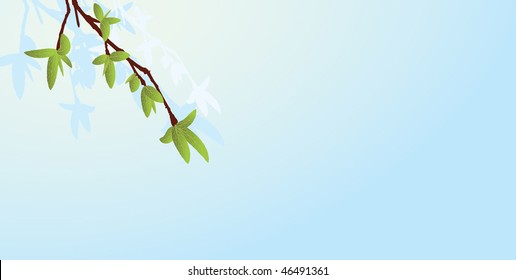 first sign of spring, fresh green leaves on a young branch.