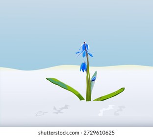 The first snowdrop in early spring broke through the snow on a sunny day and blossomed.