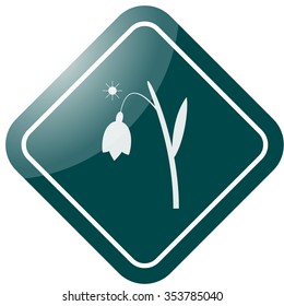 First snowdrop with spring sun icon on colorful background