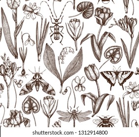 First spring flowers background.  Floral elements, insects drawings. Hand drawn botanical illustrations. Garden and forest plants seamless pattern. 