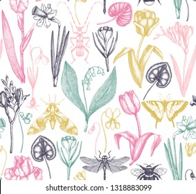 First spring flowers background.  Floral elements, insects drawings. Hand drawn botanical illustrations. Garden and forest plants seamless pattern. 