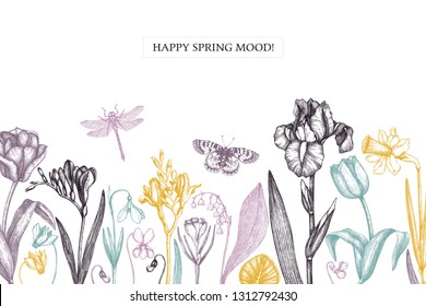 Primer diseño de flores de primavera.  Elementos florales, brotes, hojas. Ilustraciones botánicas dibujadas a mano. Bocetos de plantas de jardín y bosque. Invitación de Vector o Plantilla de tarjeta de felicitación. 