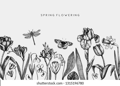 First spring flowers design.  Floral elements, buds, leaves drawings. Hand drawn botanical illustrations. Garden and forest plants sketches. Vector invitation or greeting card template. 