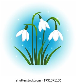 Die ersten Frühlingsblumen schneebedecken auf blauem, glänzendem Hintergrund. Vektorgrafik