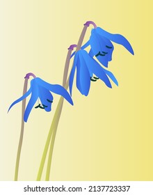 flores primaverales brotan flora biología geografía ecología