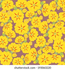 The first spring flowers yellow primrose background.