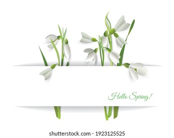 First spring Galanthus flowers in a paper pocket with the text Hello Spring. Vector illustration for making design, cards, website, labels, more. 
