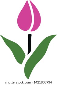 The first spring tulip color vector