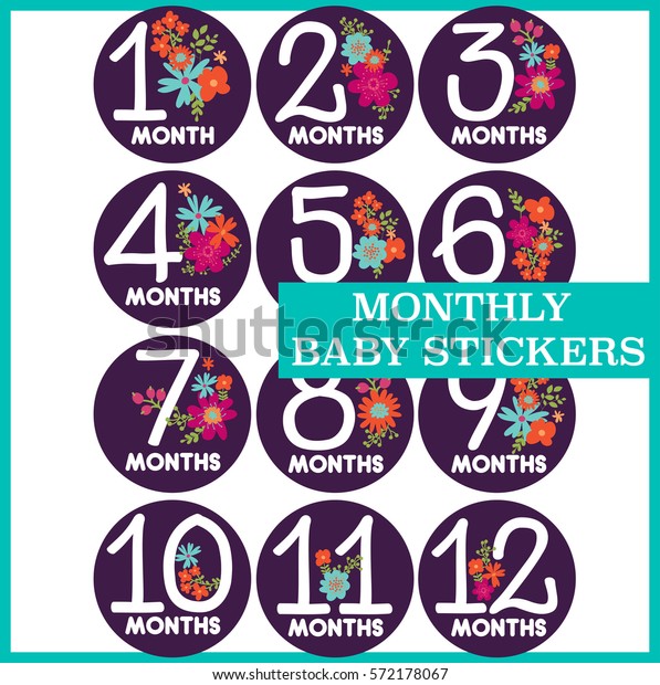 First Year Stickers Months Purple Flowers Stock Vector (Royalty Free