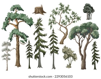 Firs,trees and bushes isolated. Vector