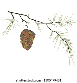 Fir-tree branch with a cone. Vector illustration of a pine cone on a pine branch. Fir-tree branch with a cone hand drawn.