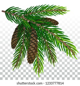 Sucursal de árbol fibroso aislada, Ilustración vectorial