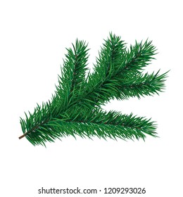 Fir-tree branch. Vector element for christmas or new year greeting card