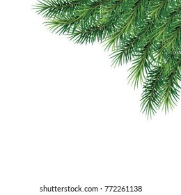  fir-tree branches- festive design. Close-up. Isolated. Christmas. New Year.   Vector Illustration .Eps 10.