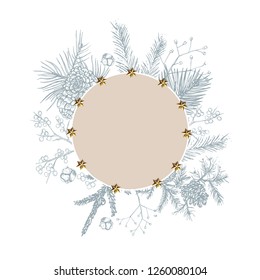 fir-tree branches hand drawing , vector background