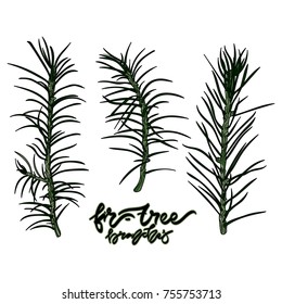  Fir-tree branches vector illustration. Hand drawn lettering - "Fir-tree branches" Vector illustration. Typography design elements for prints, cards, posters, products packaging, branding.