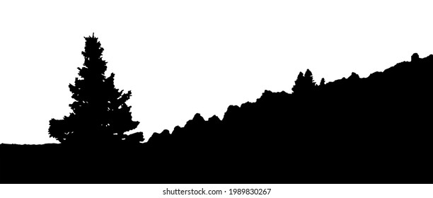 A fir-tree grows in the meadow. A dense forest is visible in the distance. Silhouettes isolated on white background. Horizontal panorama. Vector, eps10.