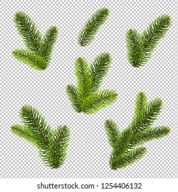 FirTree Isolated Isolated Transparent Background, Vector Illustration