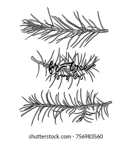  Fir-tree monochrome branches vector illustration. Hand drawn lettering - "Fir-tree branches" Vector illustration. Typography design elements for prints, cards, posters, products packaging, branding.