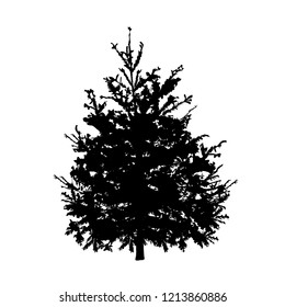 Fir-tree silhouette, the black vector image on a white background