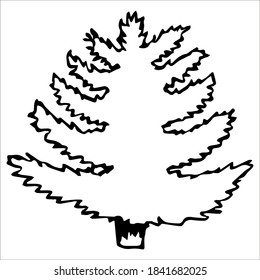 Fir-tree. Single doodle vector illustration. Hand drawn.
