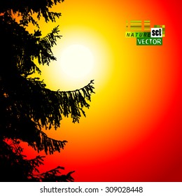 fir-tree tracing. Vector