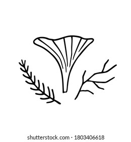 Firtree twig, dry twig and chanterelle mushroom. Hand drawn vector doodle elements.