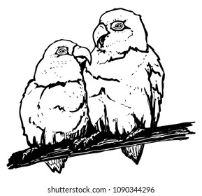 Fischers lovebird. Pair of parrots on perch. Vector black illustration of two birds sitting together