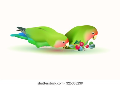 fischer's lovebirds (pair of parrots)