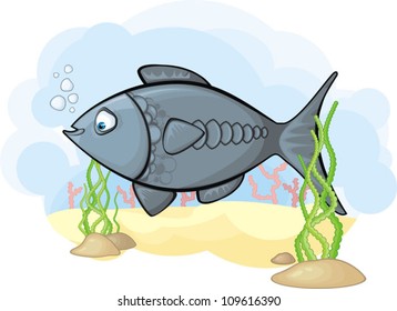 fish