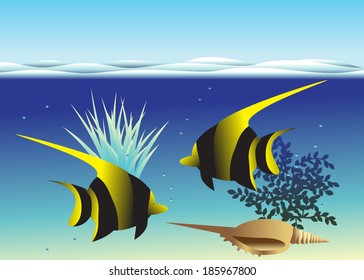 Fish. 