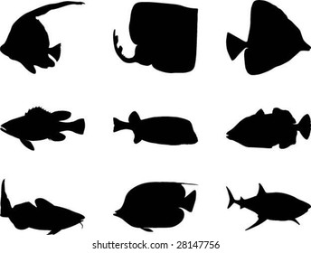 fish