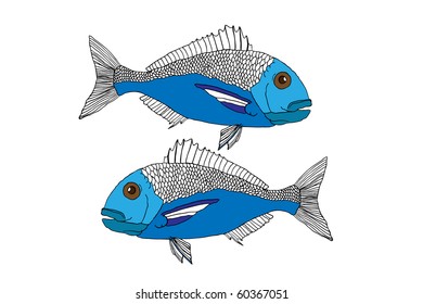 fish