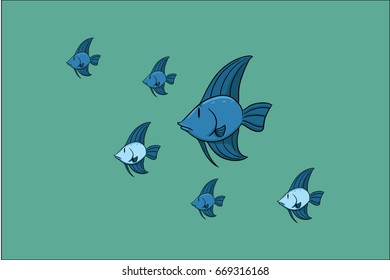 fish 