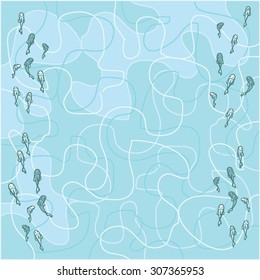 fish from above in blue sea or ocean water