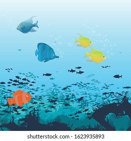 fish and algae on the background of reefs. Underwater ocean scene. Deep blue water, coral reef and underwater plants. a beautiful underwater scene; a vector seascape with reef.