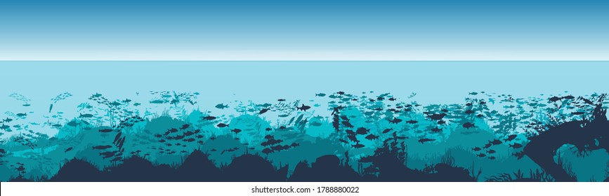 
Fish and algae on the background of the reefs. Seascape with clouds. Panorama underwater ocean scene. Deep blue water, coral reef and underwater plants. beautiful underwater scene.