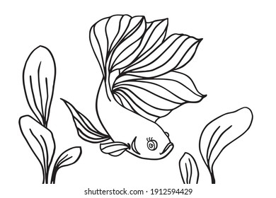 Fish and algae in the water. Aquarium. Can be used for coloring book for kids. Vector illustration.