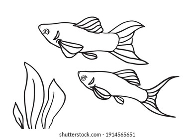 Fish and algae in the water. Aquarium. Can be used for coloring book for kids. Vector illustration.