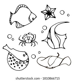 The fish Angel, fish Butterfly, Stingray, Manta ray, Sea Star, Crab, Porcupine fish. Outline hand drawing. Isolated vector object on white background. Illustration of a fish in a shell. Set