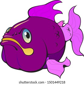 fish animal. aquarium, ocean sea.